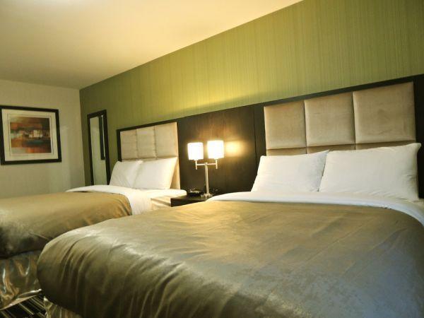 Western Star Inn & Suites Stoughton Værelse billede